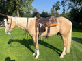 COLONELS VOODOO DR - prospecto reining