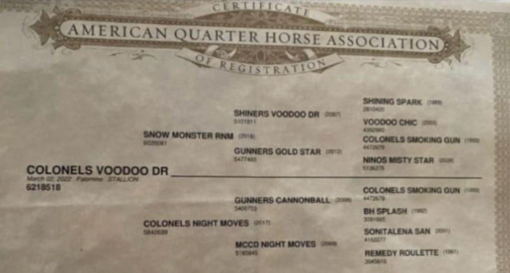 COLONELS VOODOO DR - prospecto reining