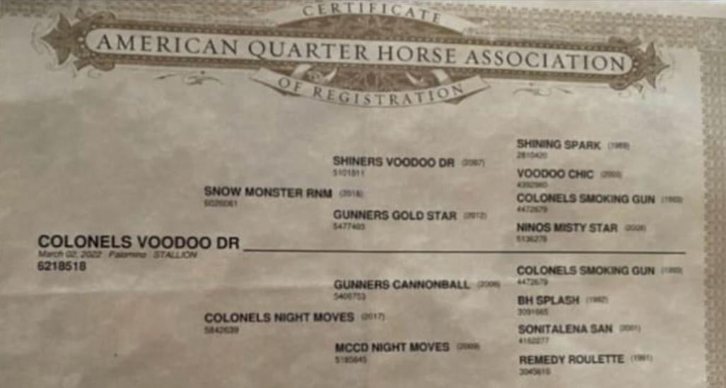 COLONELS VOODOO DR - prospecto reining