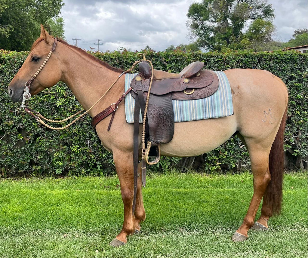 Mazapán - cabalgatas