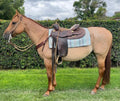 Mazapán - cabalgatas