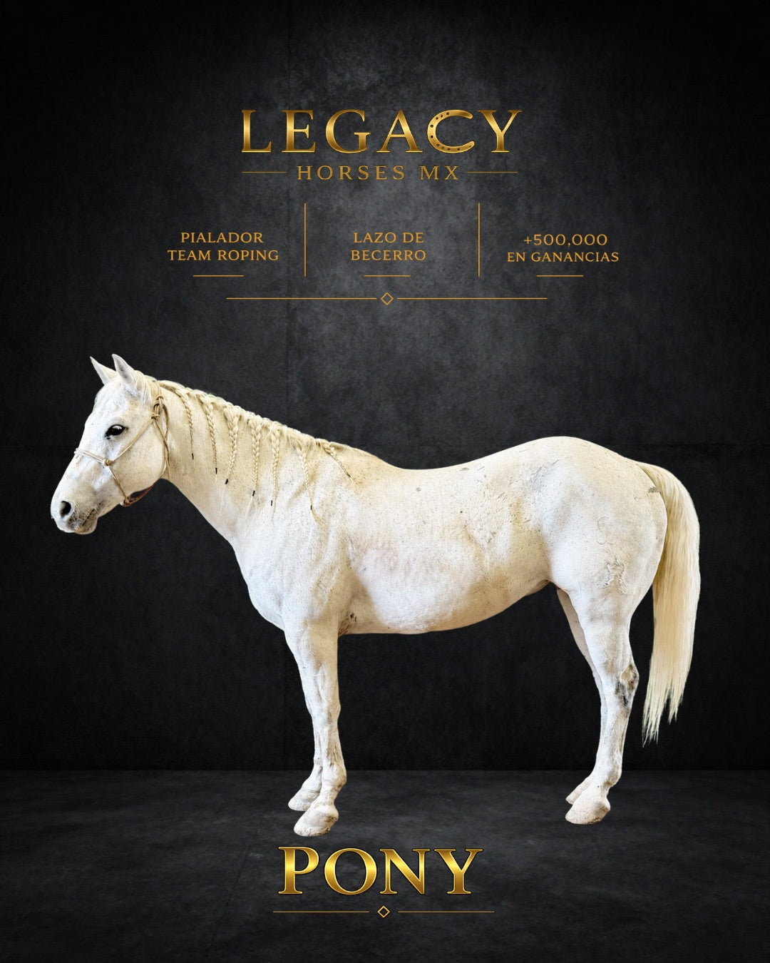 Pony