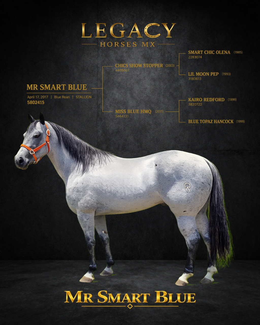 MR smart blue
