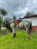 Ares