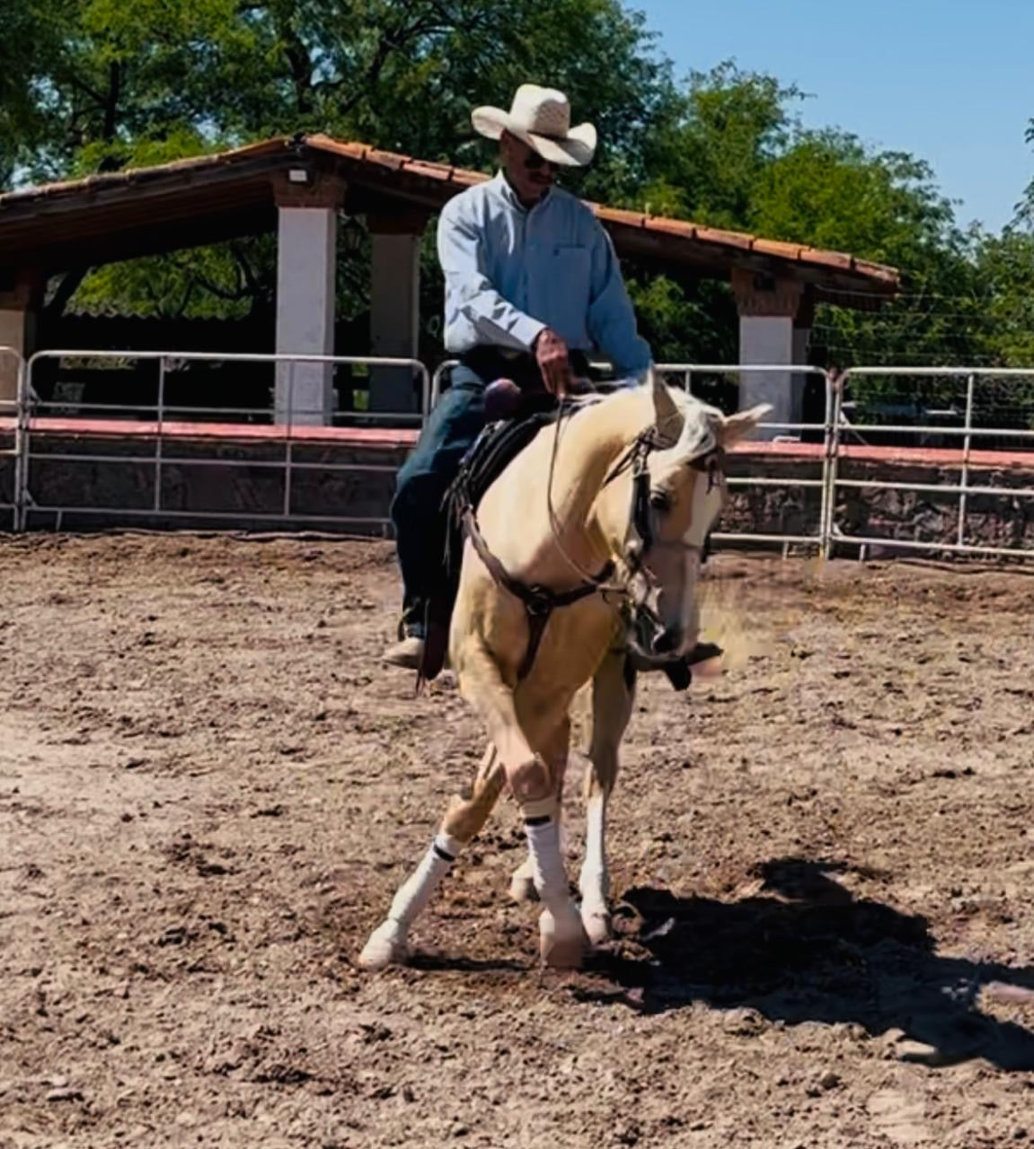 COLONELS VOODOO DR - prospecto reining