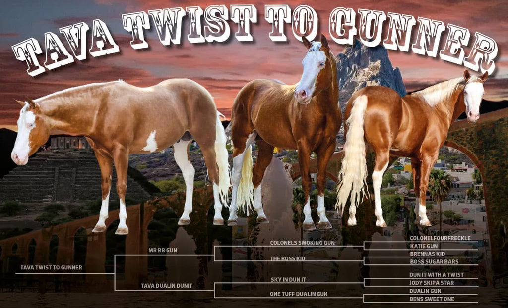 Tava Twist To Gunner